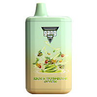 Устр. Gang Huge 5500 mAh ХТФ 13