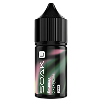 Пустой картридж Soak L CL 52