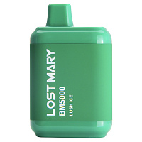 Устр. Lost Mary BM 5000 mAh LI 10